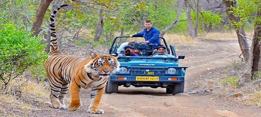 Delhi Agra Ranthambore Jaipur Tour Package