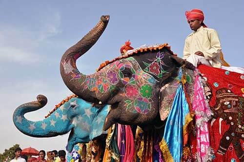 Jaipur-festival